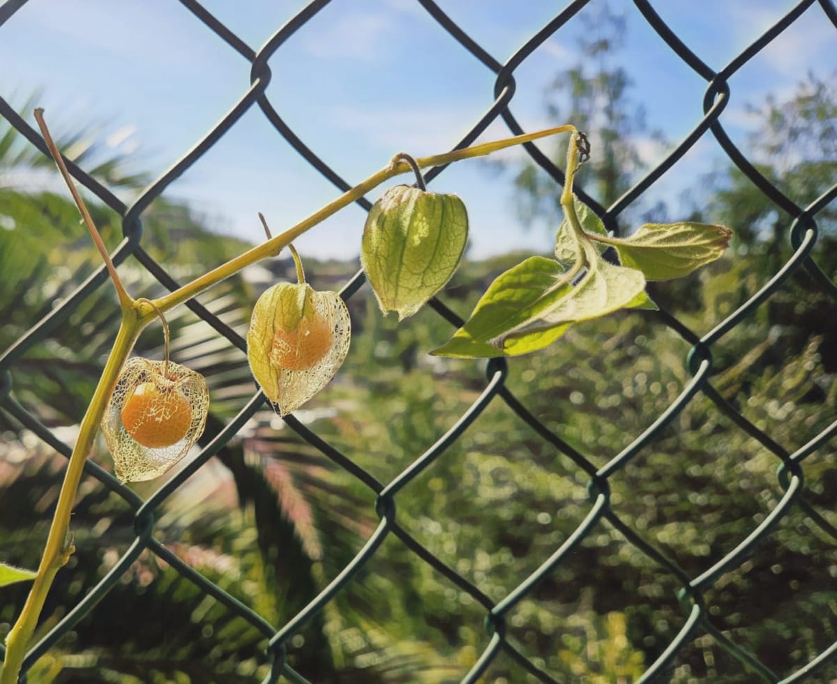 ¿De verdad necesitas hacerlo con IA?