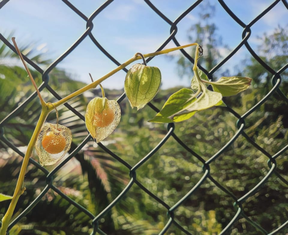 ¿De verdad necesitas hacerlo con IA?